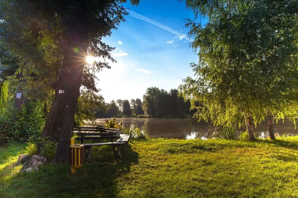 Gezonde tuinplanten geteeld met voordelen van bestrijdingsmiddelen voor optimale groei